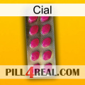 Cial 09
